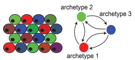 Description of the image